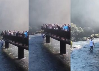 Turista que pulou nas Cataratas do Iguaçu para pegar celular pode ser multado e proibido de voltar ao parque, diz Governo Federal