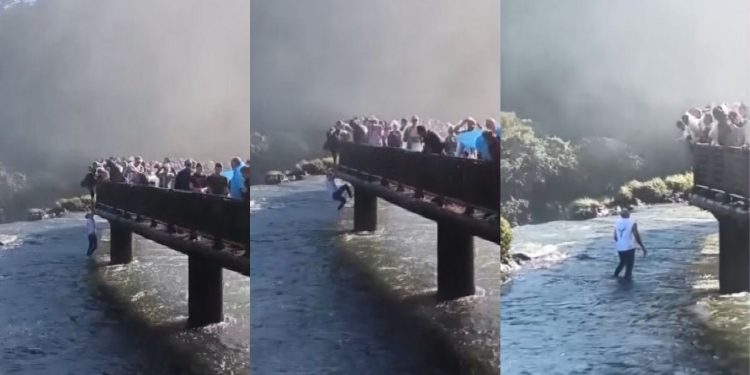 Turista que pulou nas Cataratas do Iguaçu para pegar celular pode ser multado e proibido de voltar ao parque, diz Governo Federal