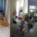 VÍDEO: 'gangue' de quatis invade casa e deixa bagunça e destruição, no Paraná